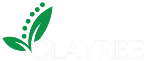 Footer Logo